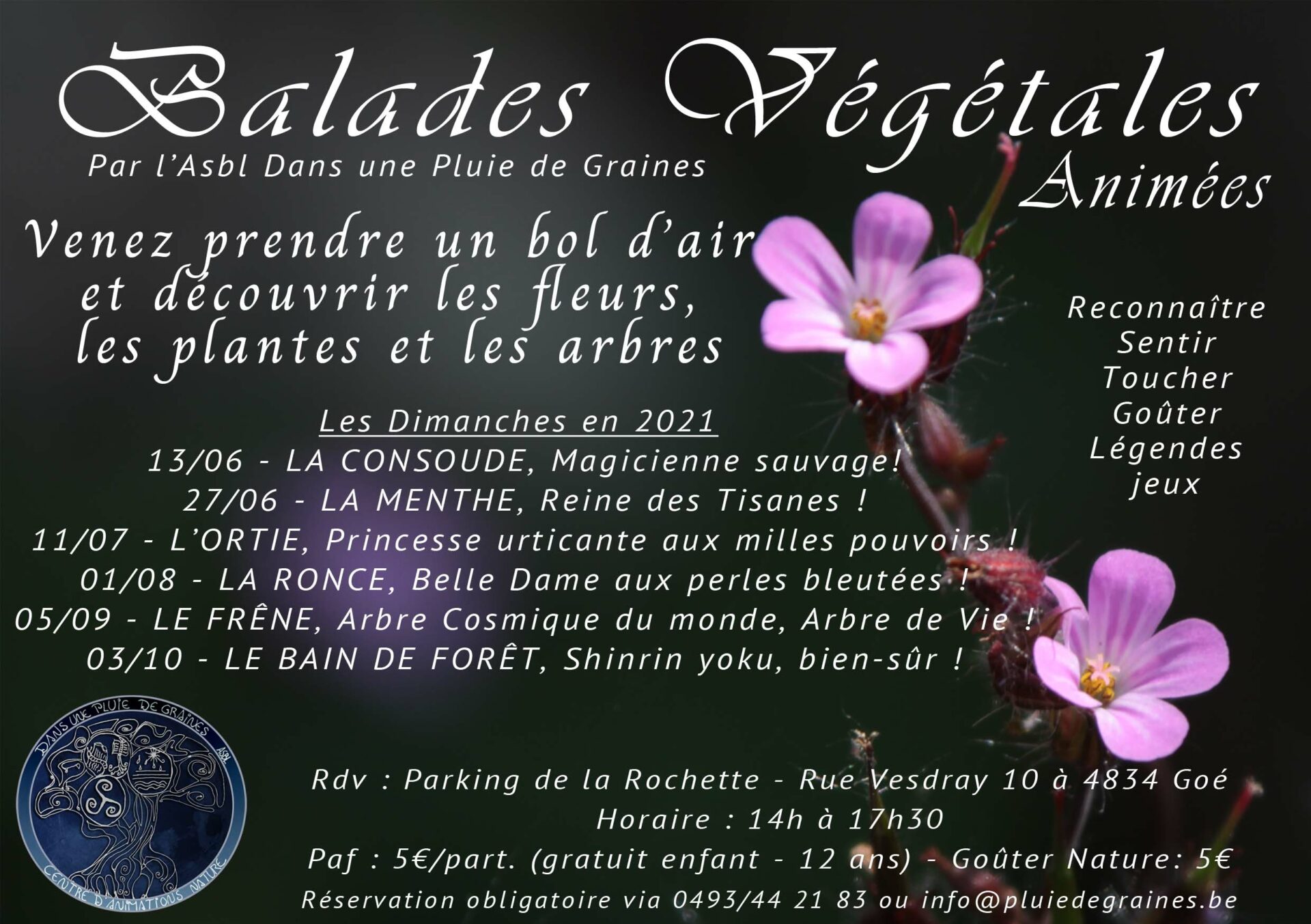 Balades Végétales "L'Ortie - Princesse urticante aux milles pouvoirs !"