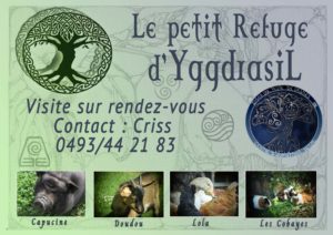 Lire la suite à propos de l’article Notre petit refuge Yggdrasil