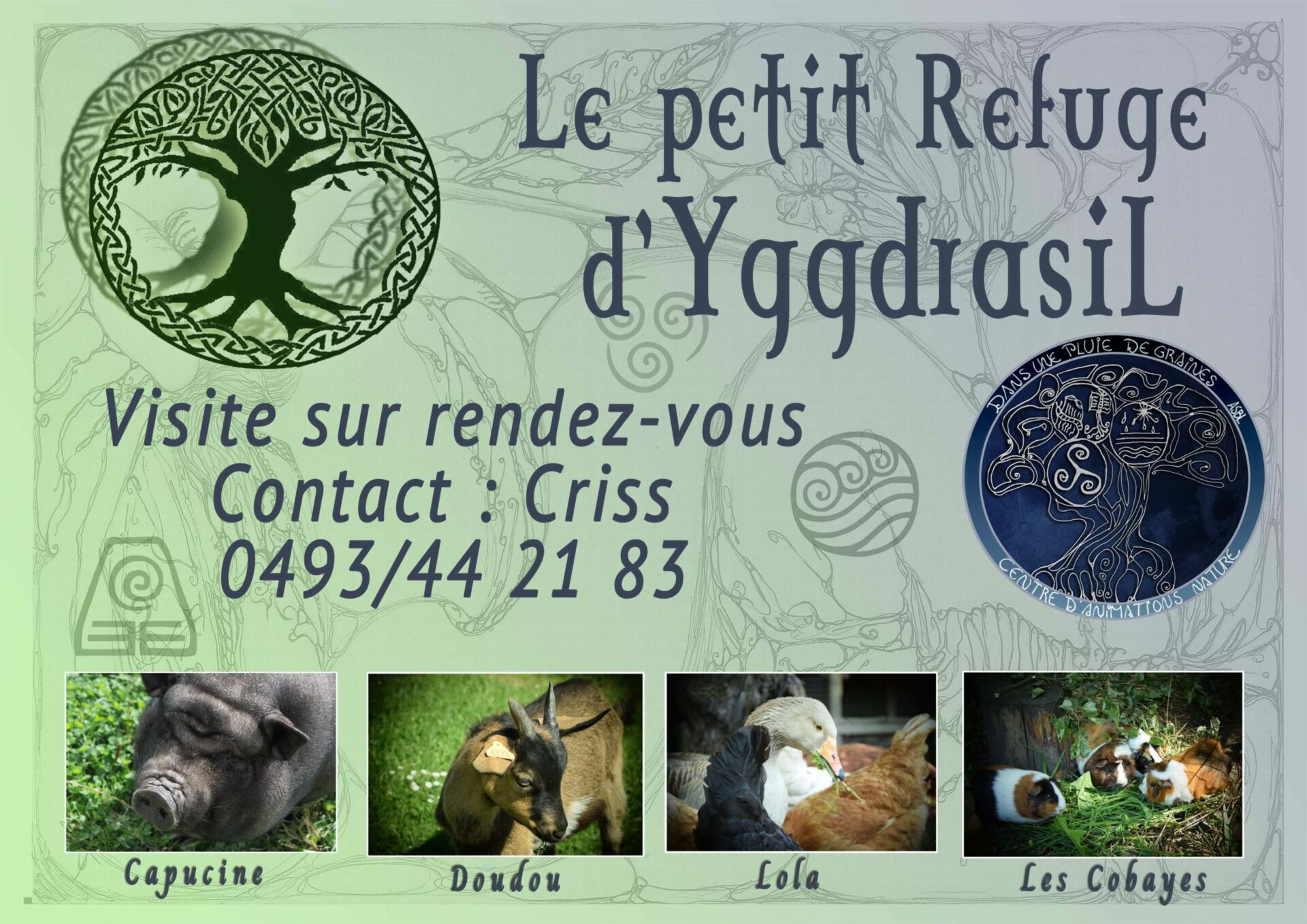 You are currently viewing Notre petit refuge Yggdrasil