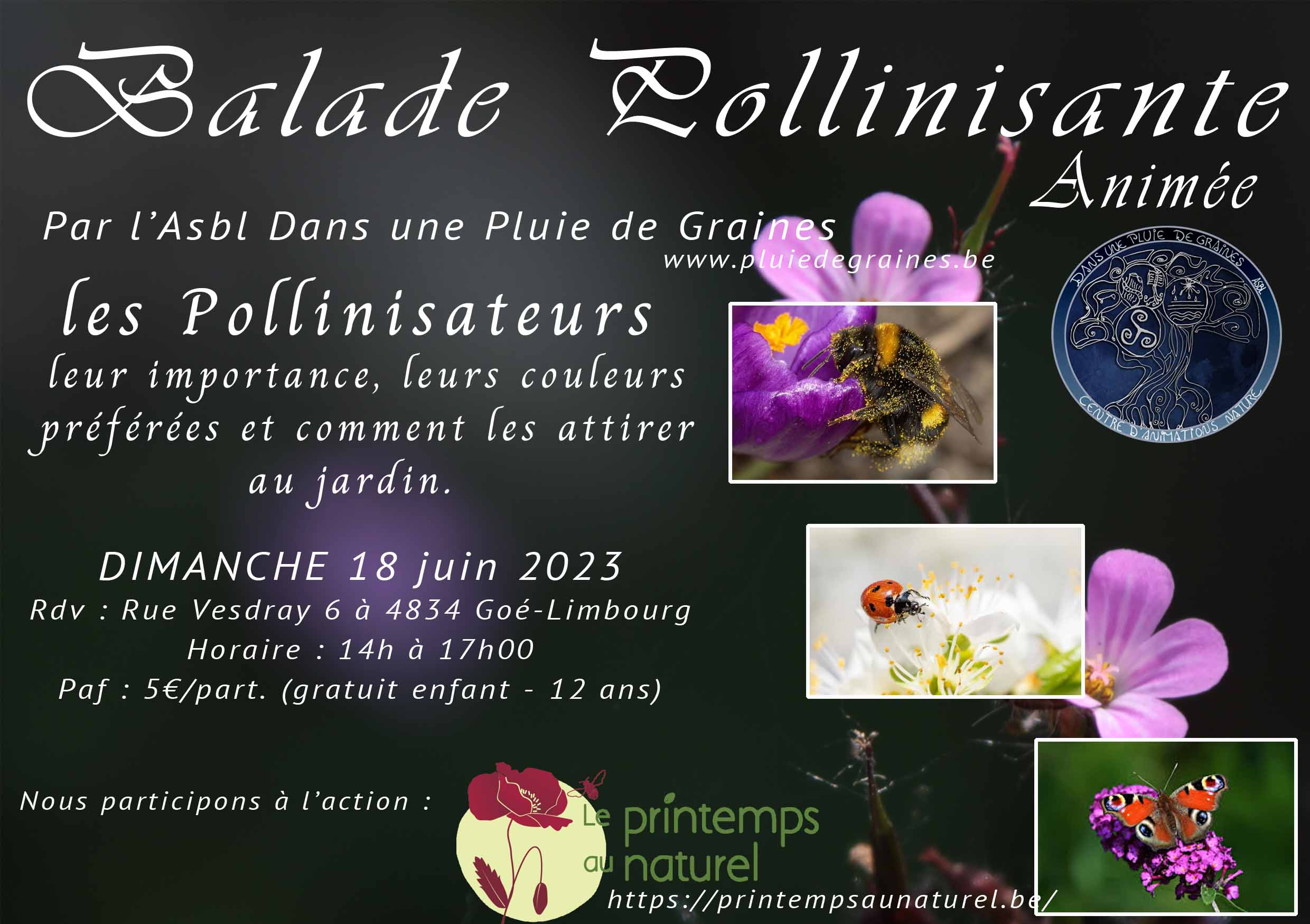 You are currently viewing « Balade Pollinissante »