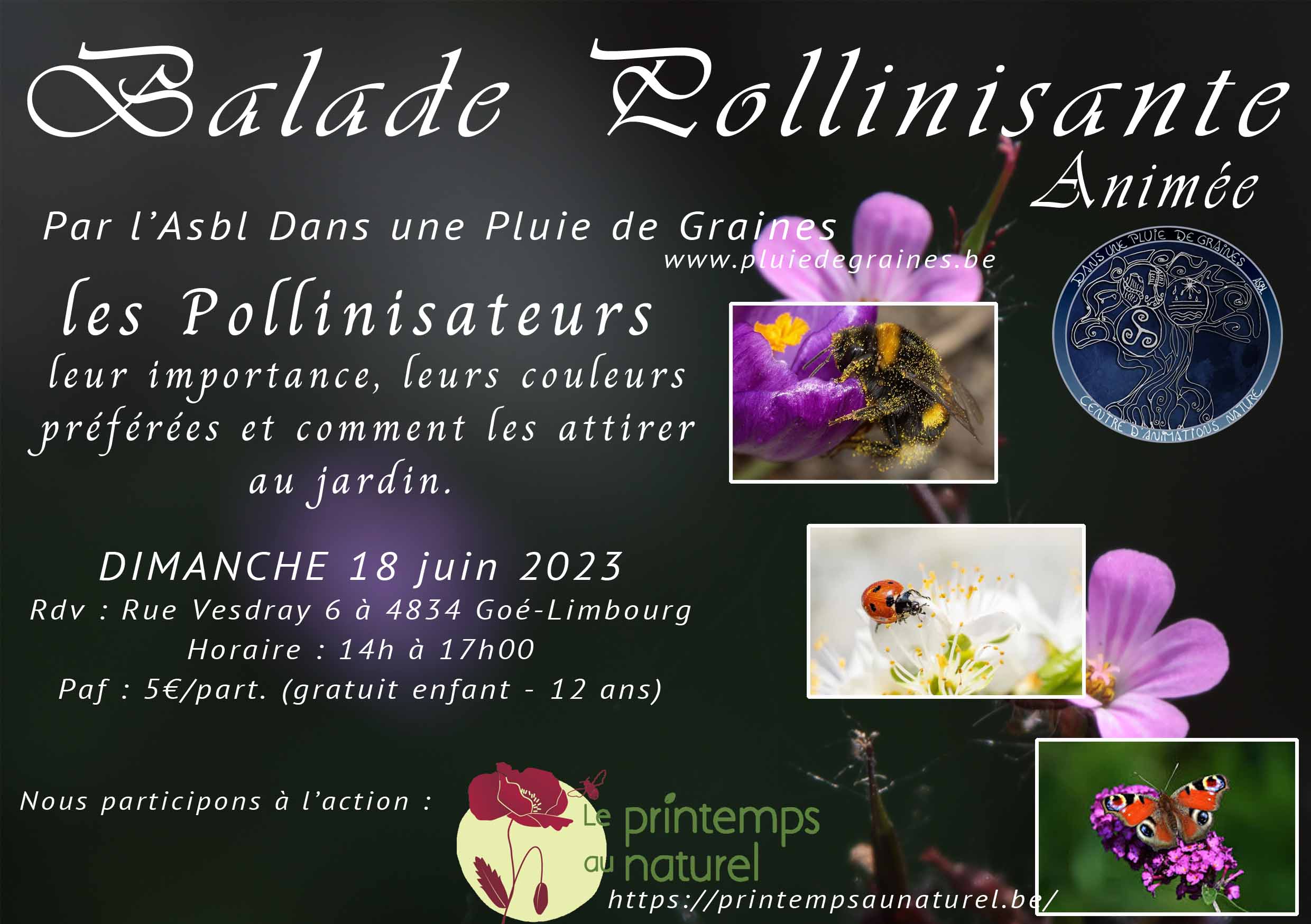 "Balade Pollinissante"