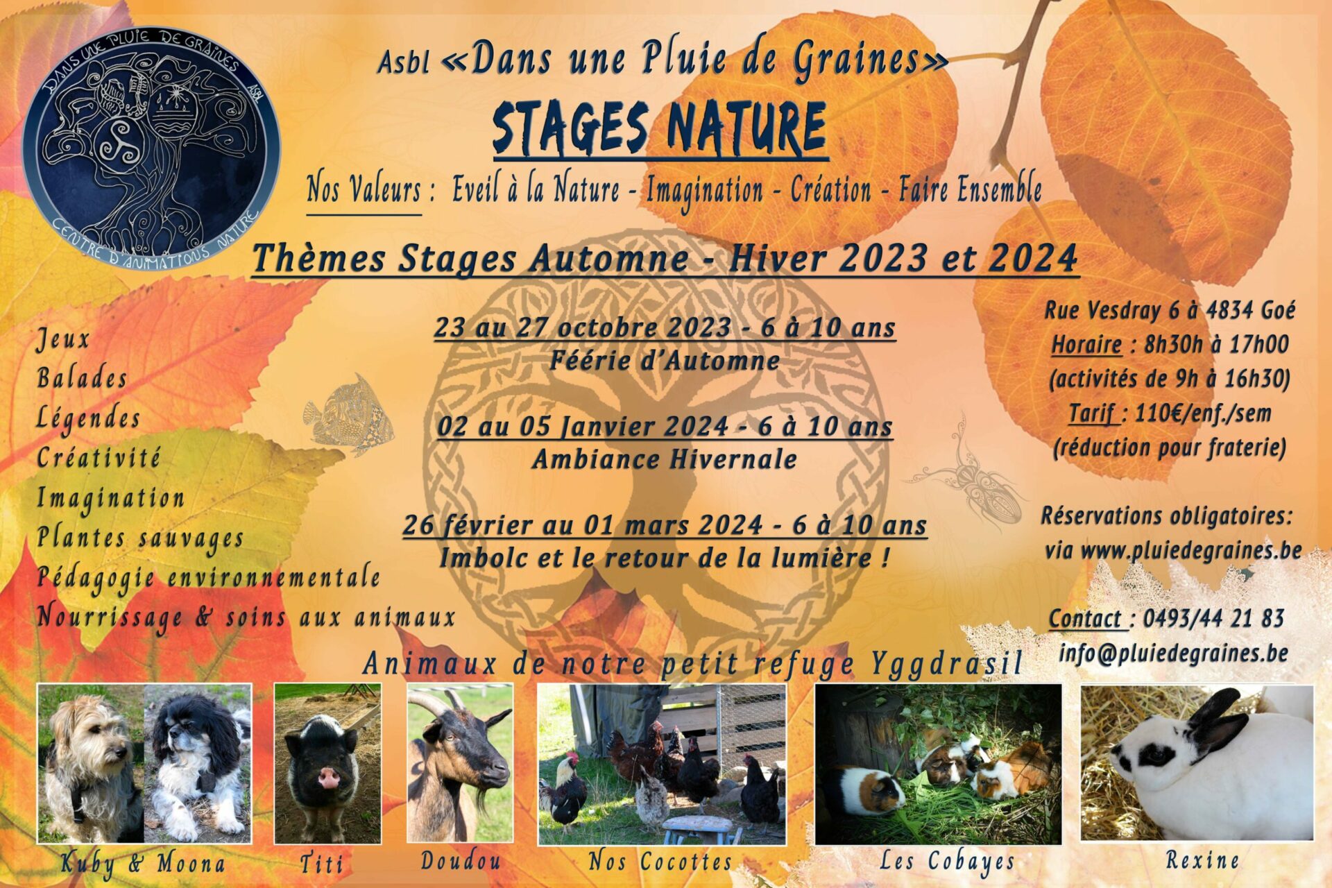 Stage Nature "Féérie d’Automne"