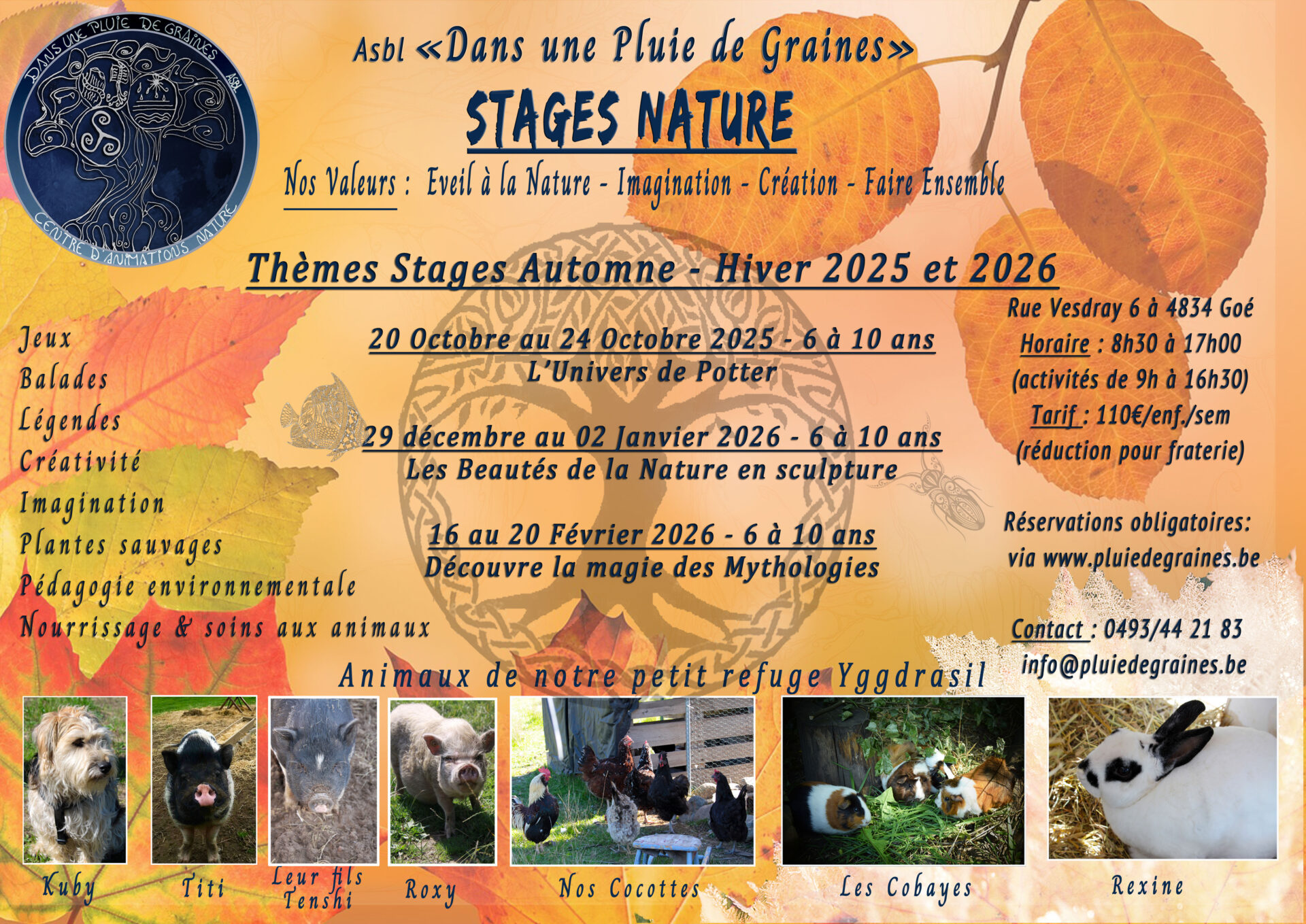 Stage Nature « L’Univers de Potter »