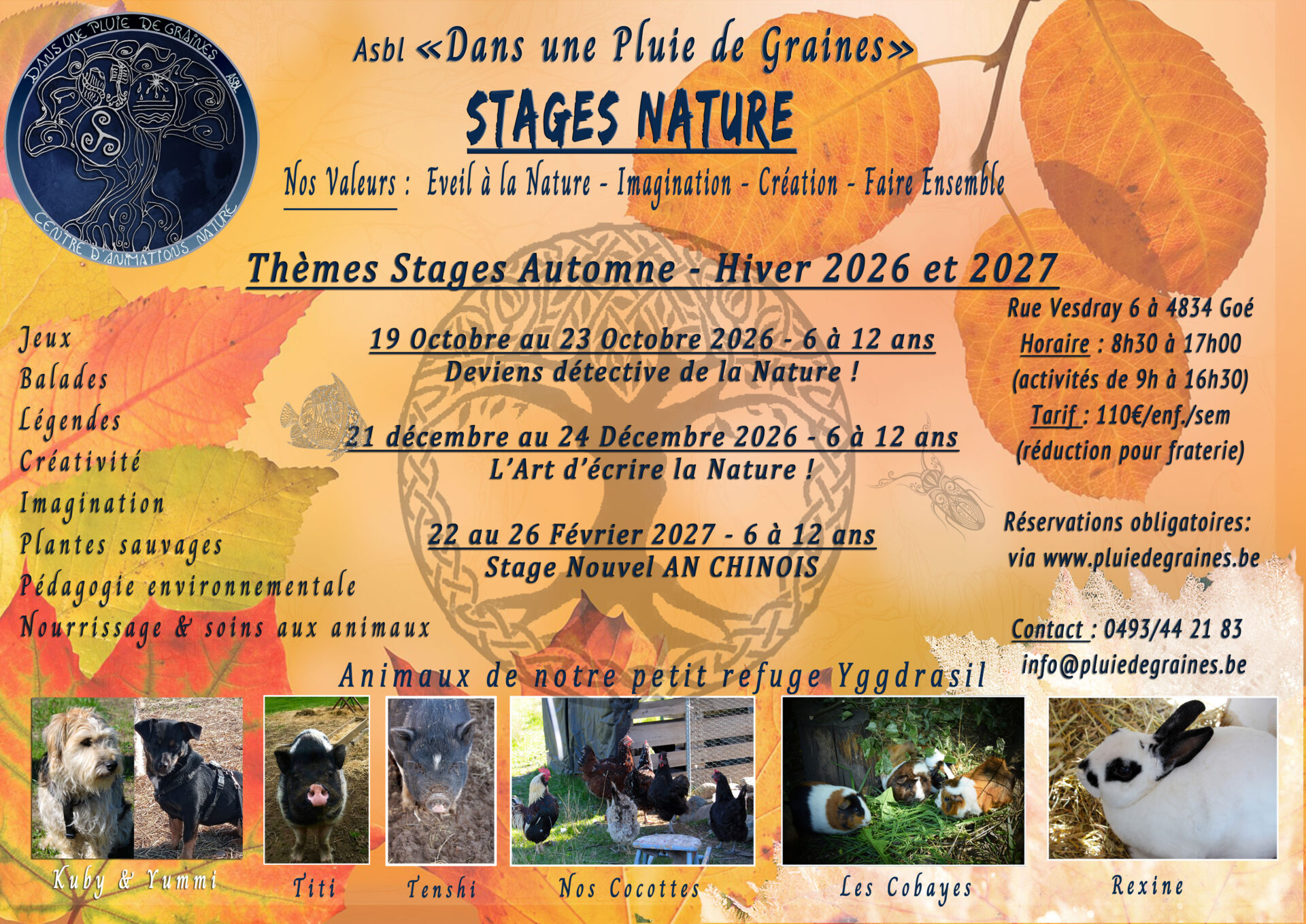 Stage Nature :  Deviens détective de la Nature !